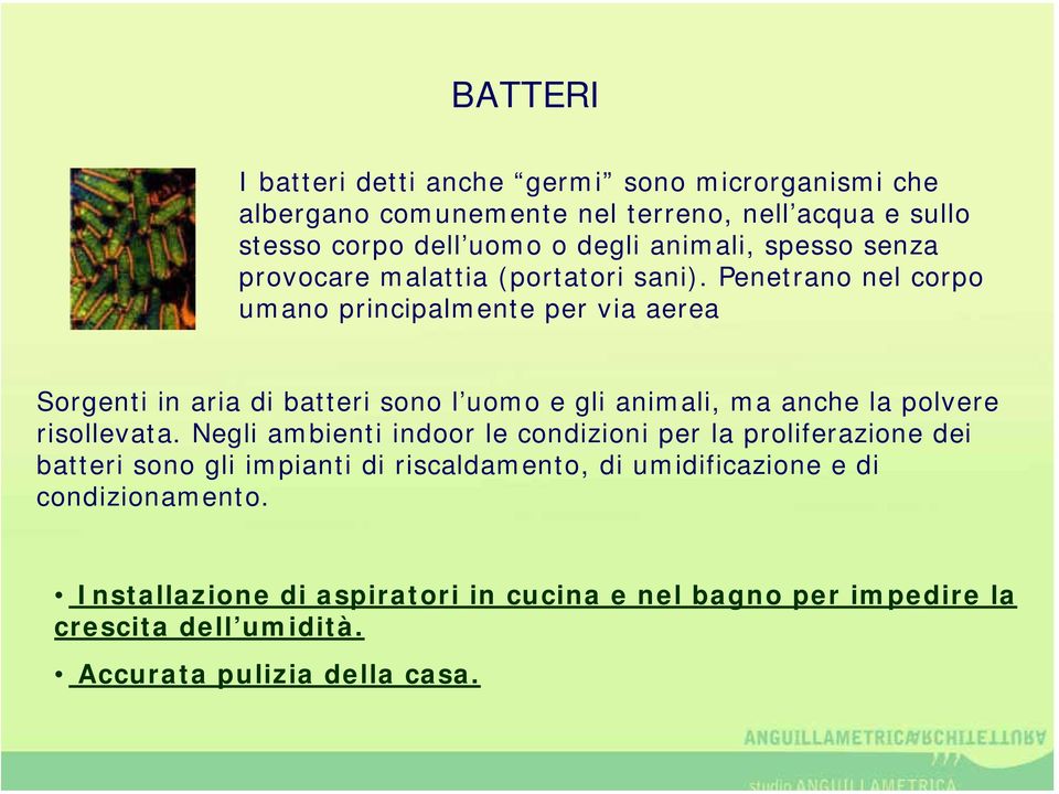 Penetrano nel corpo umano principalmente per via aerea Sorgenti in aria di batteri sono l uomo e gli animali, ma anche la polvere risollevata.