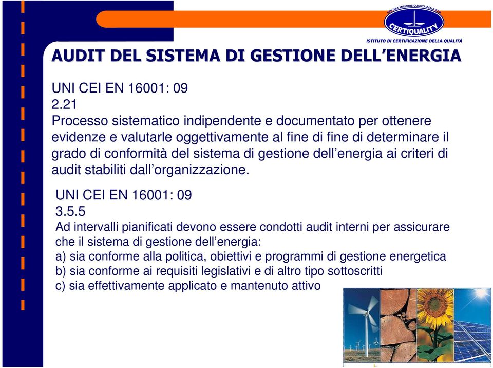 sistema di gestione dell energia ai criteri di audit stabiliti dall organizzazione. UNI CEI EN 16001: 09 3.5.