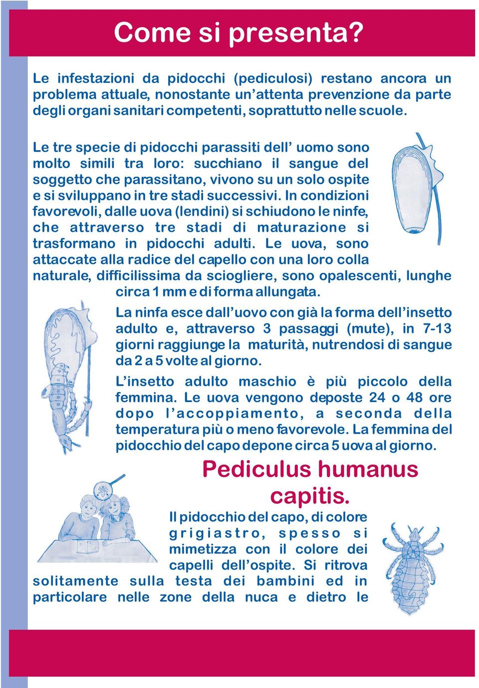 In condizioni favorevoli, dalle uova (lendini) si schiudono le ninfe, che attraverso tre stadi di maturazione si trasformano in pidocchi adulti.