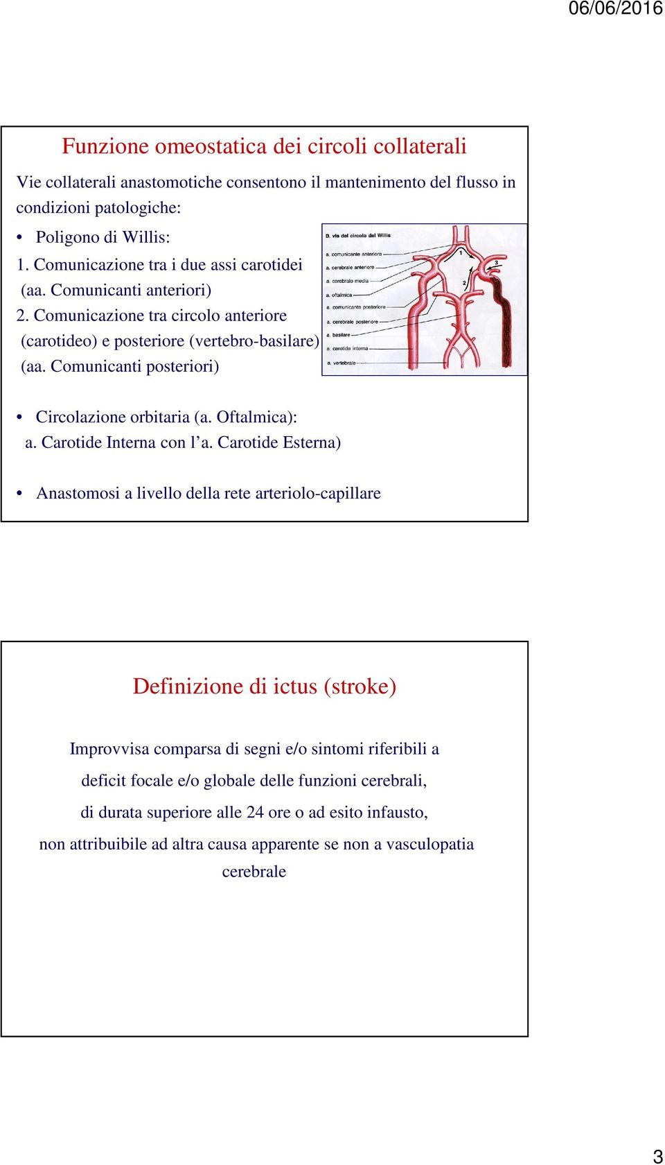 Comunicanti posteriori) Circolazione orbitaria (a. Oftalmica): a. Carotide Interna con l a.