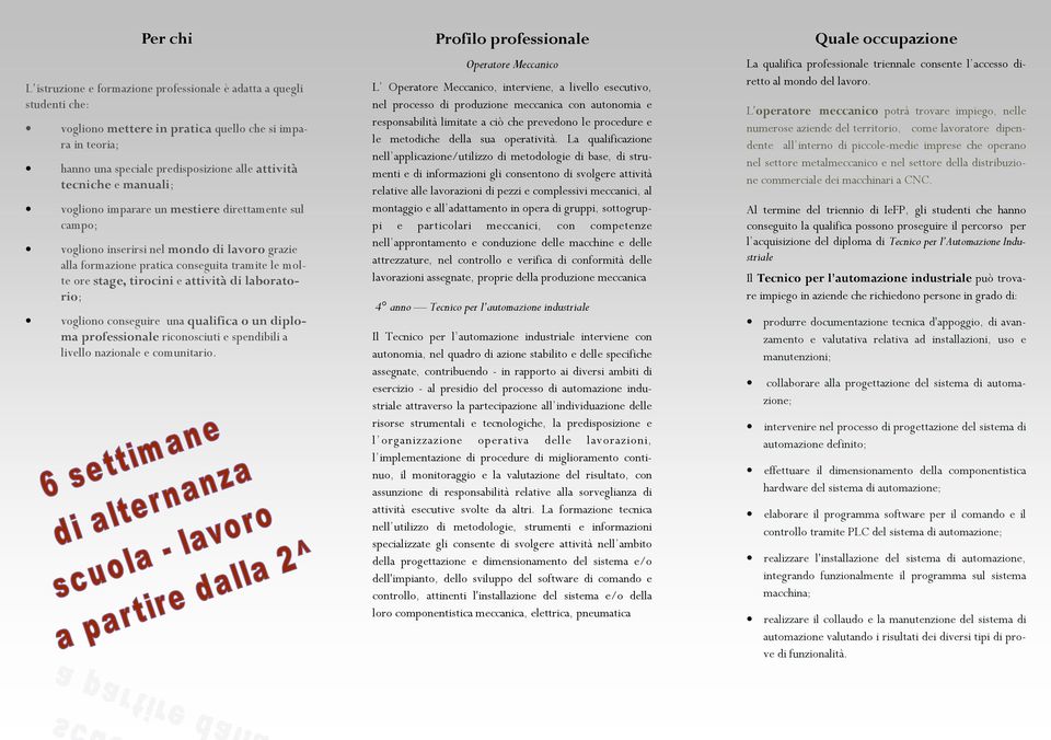 laboratorio; vogliono conseguire una qualifica o un diploma professionale riconosciuti e spendibili a livello nazionale e comunitario.