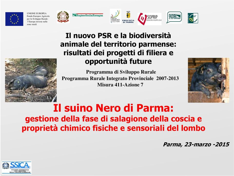 Programma Rurale Integrato Provinciale 2007-2013 Misura 411-Azione 7 Il suino Nero di Parma: gestione