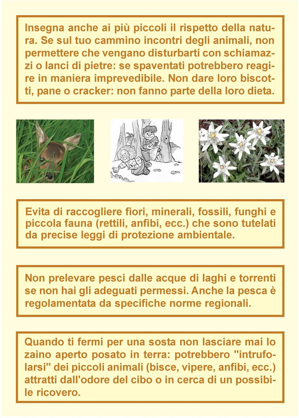 Non dare loro biscotti, pane o cracker: non fanno parte della loro dieta. Evita di raccogliere fiori, minerali, fossili, funghi e piccola fauna (rettili, anfibi, ecc.