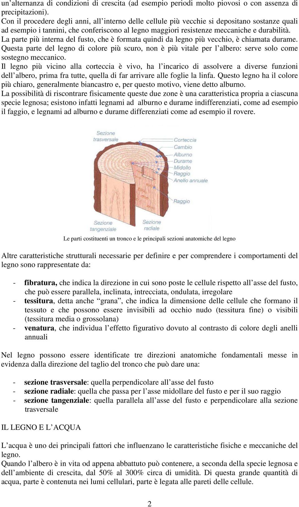 La parte più interna del fusto, che è formata quindi da legno più vecchio, è chiamata durame.