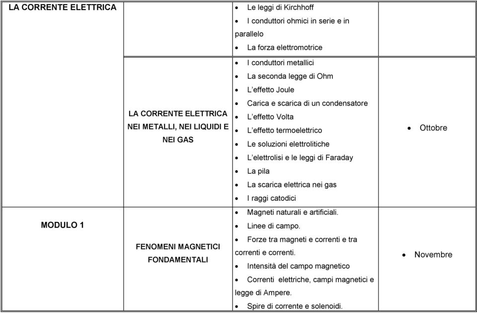 elettrolisi e le leggi di Faraday La pila La scarica elettrica nei gas I raggi catodici Magneti naturali e artificiali. MODULO 1 Linee di campo.