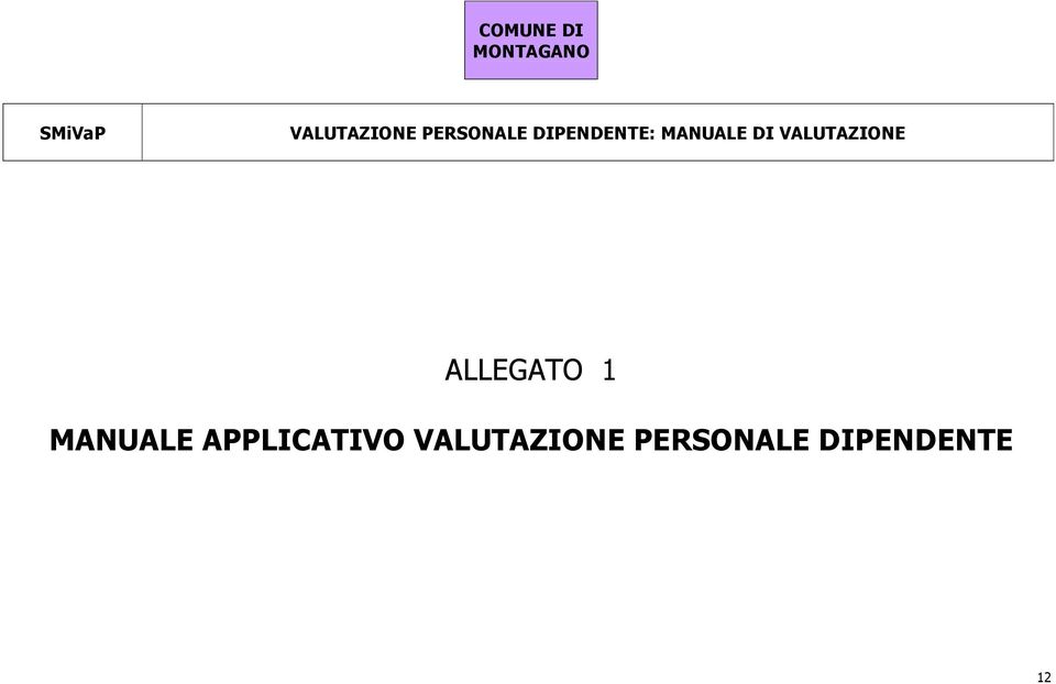 MANUALE DI VALUTAZIONE ALLEGATO