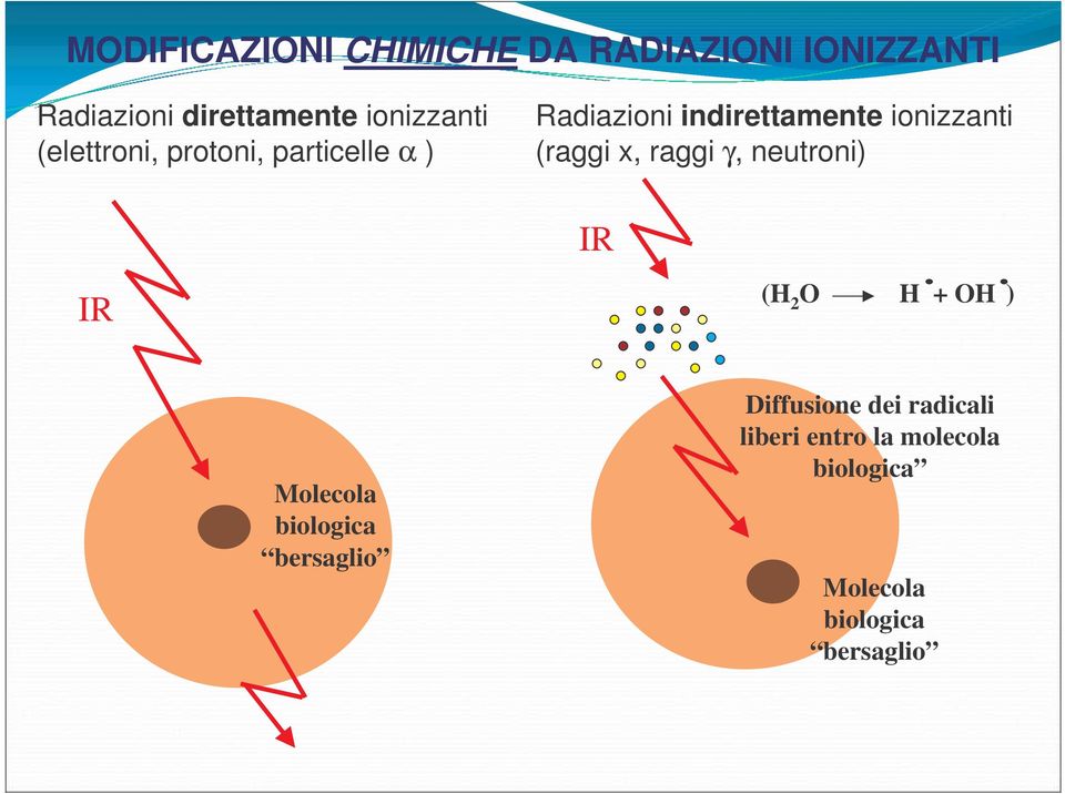 ionizzanti (raggi x, raggi γ, neutroni) IR IR (H 2 O H + OH ) Molecola biologica