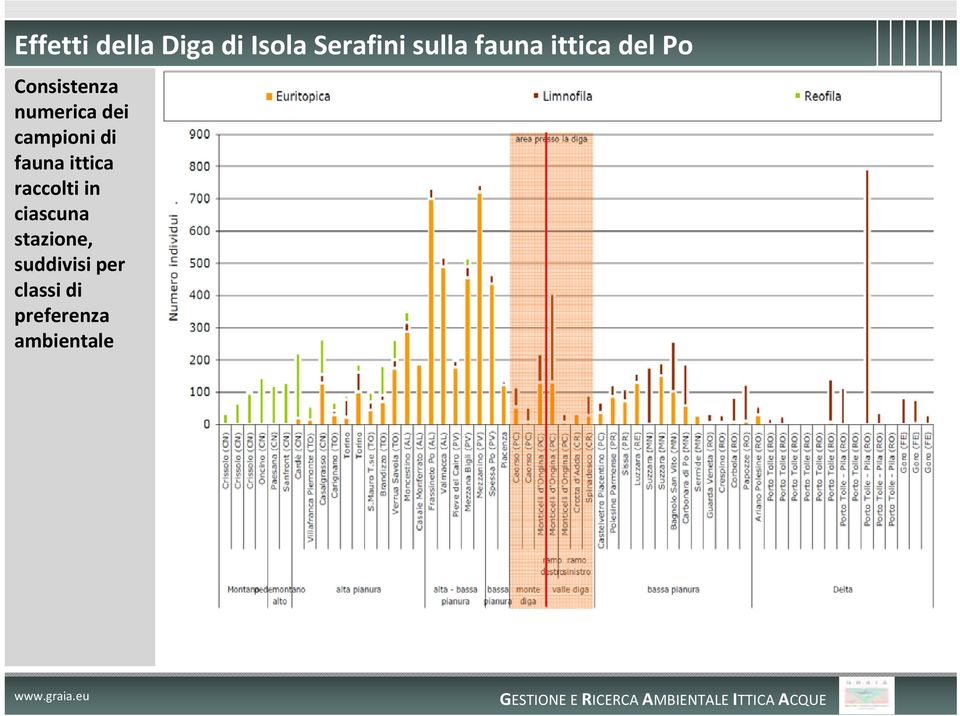 campioni di fauna ittica raccolti in ciascuna