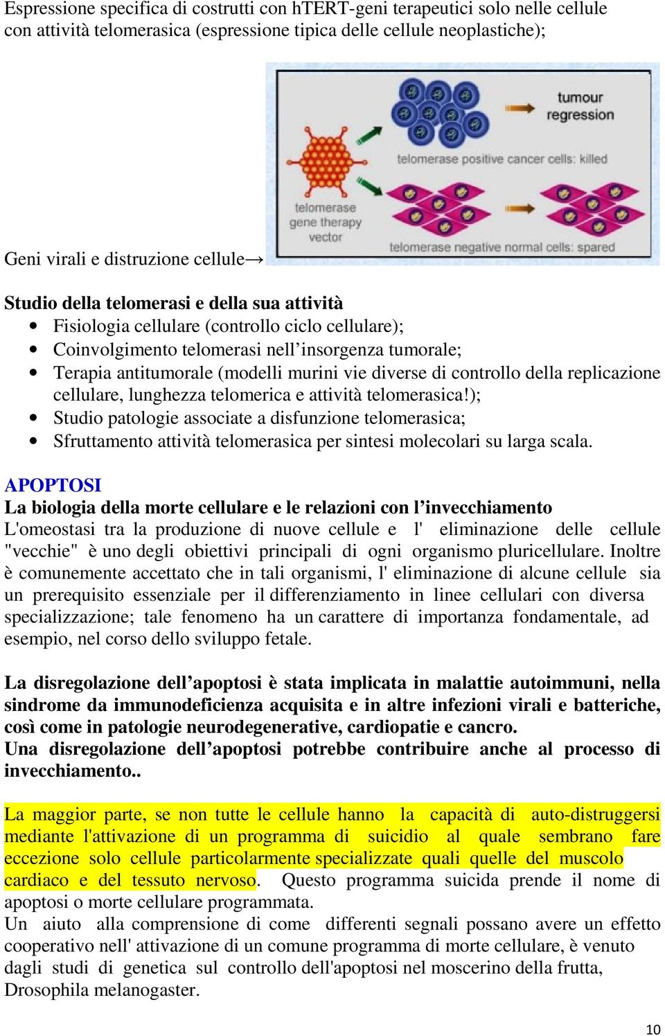 controllo della replicazione cellulare, lunghezza telomerica e attività telomerasica!