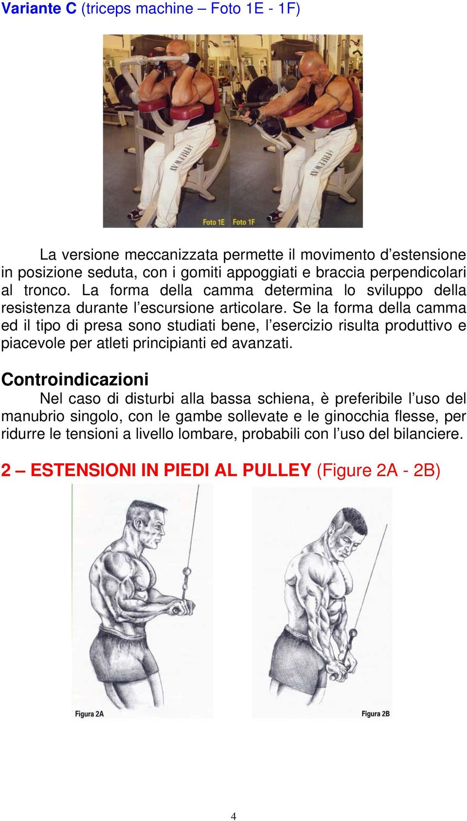 Se la forma della camma ed il tipo di presa sono studiati bene, l esercizio risulta produttivo e piacevole per atleti principianti ed avanzati.