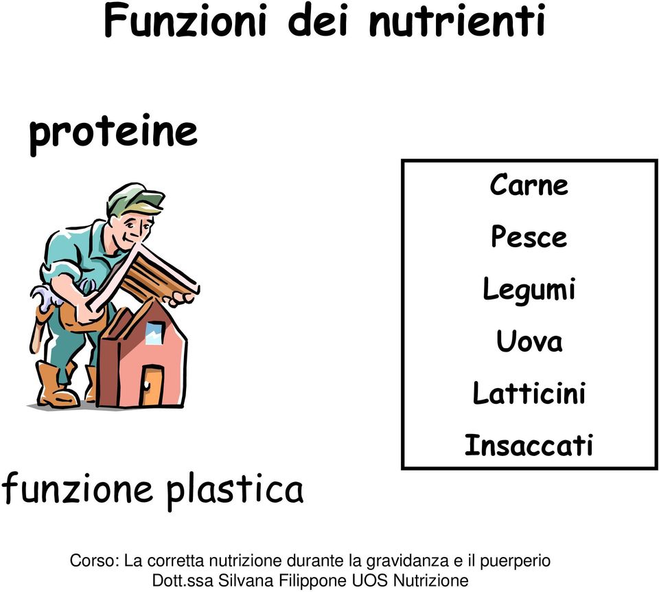 plastica Carne Pesce