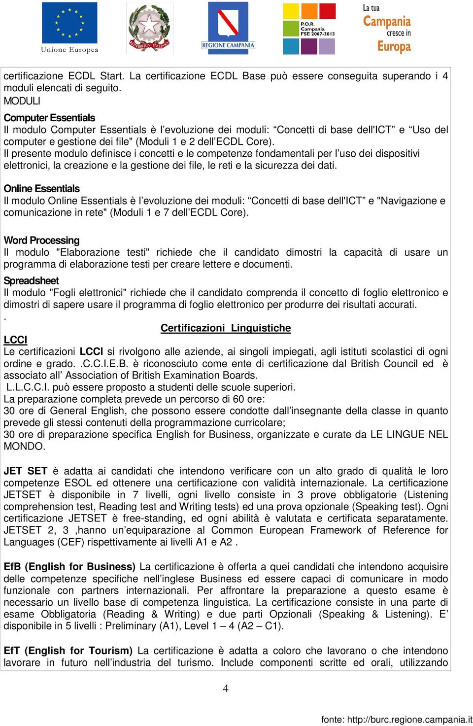 Il presente modulo definisce i concetti e le competenze fondamentali per l uso dei dispositivi elettronici, la creazione e la gestione dei file, le reti e la sicurezza dei dati.