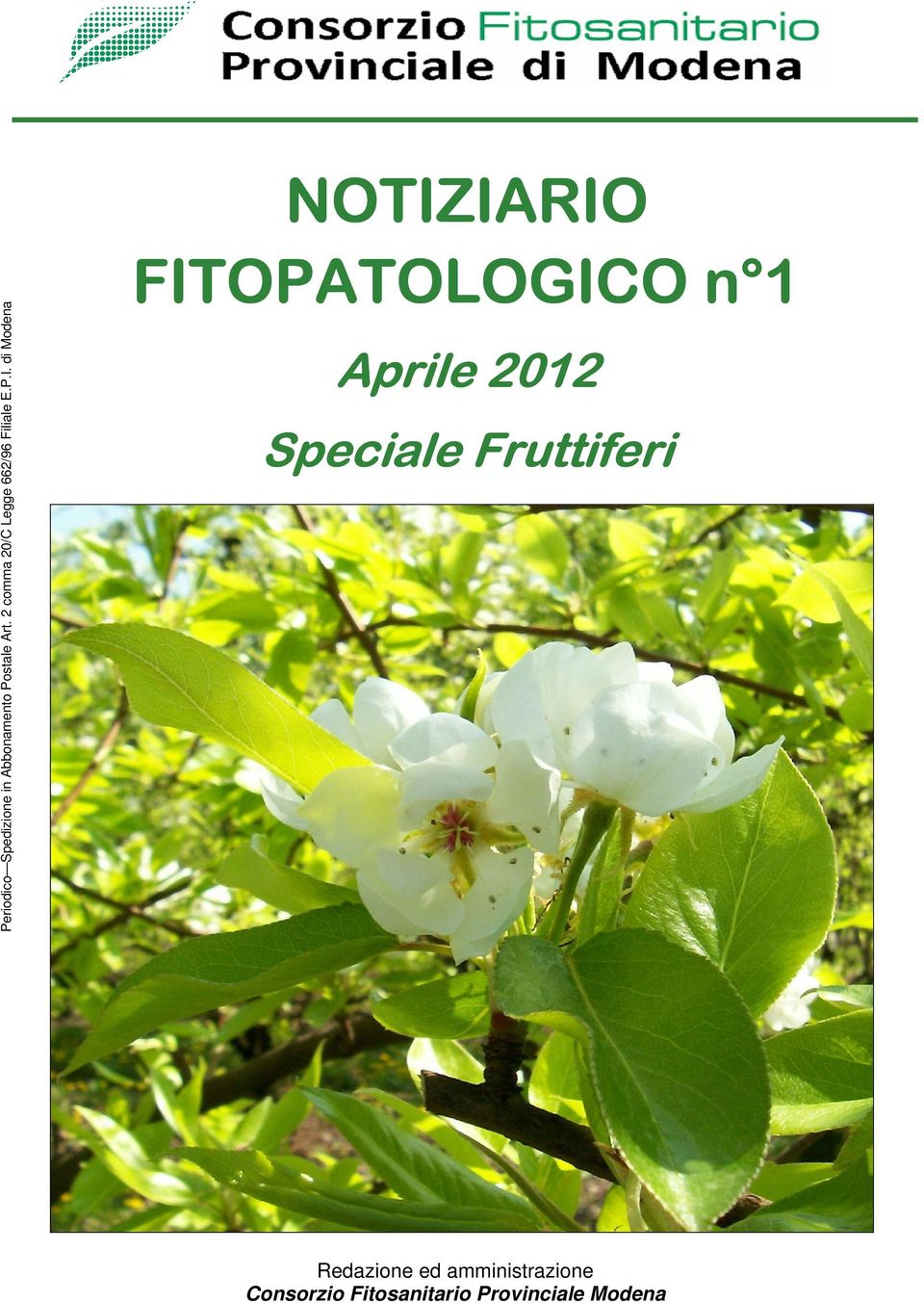 di Modena NOTIZIARIO FIT ITOPATOLOGICO n 1 Aprile 2012