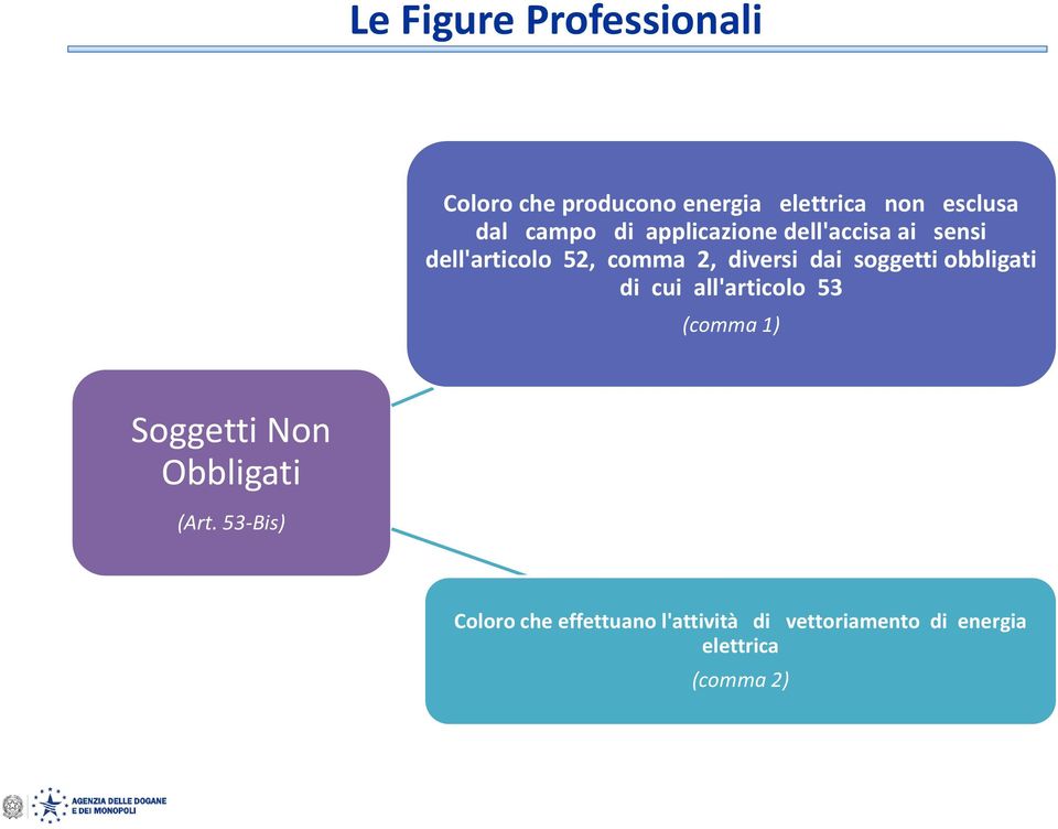 soggetti obbligati di cui all'articolo 53 (comma 1) Soggetti Non Obbligati (Art.
