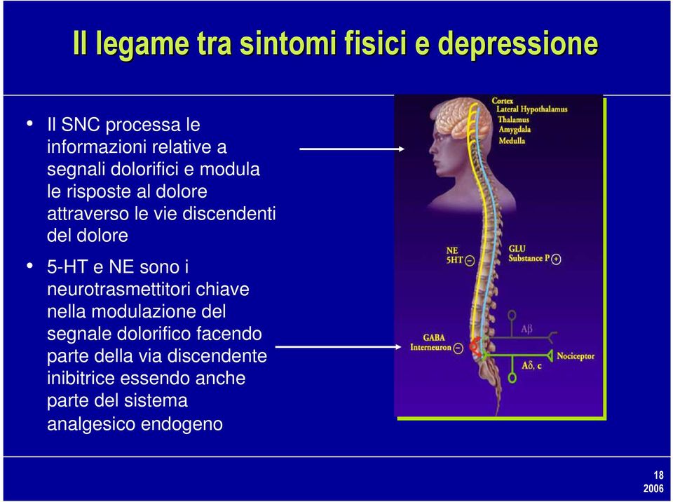 5-HT e NE sono i neurotrasmettitori chiave nella modulazione del segnale dolorifico