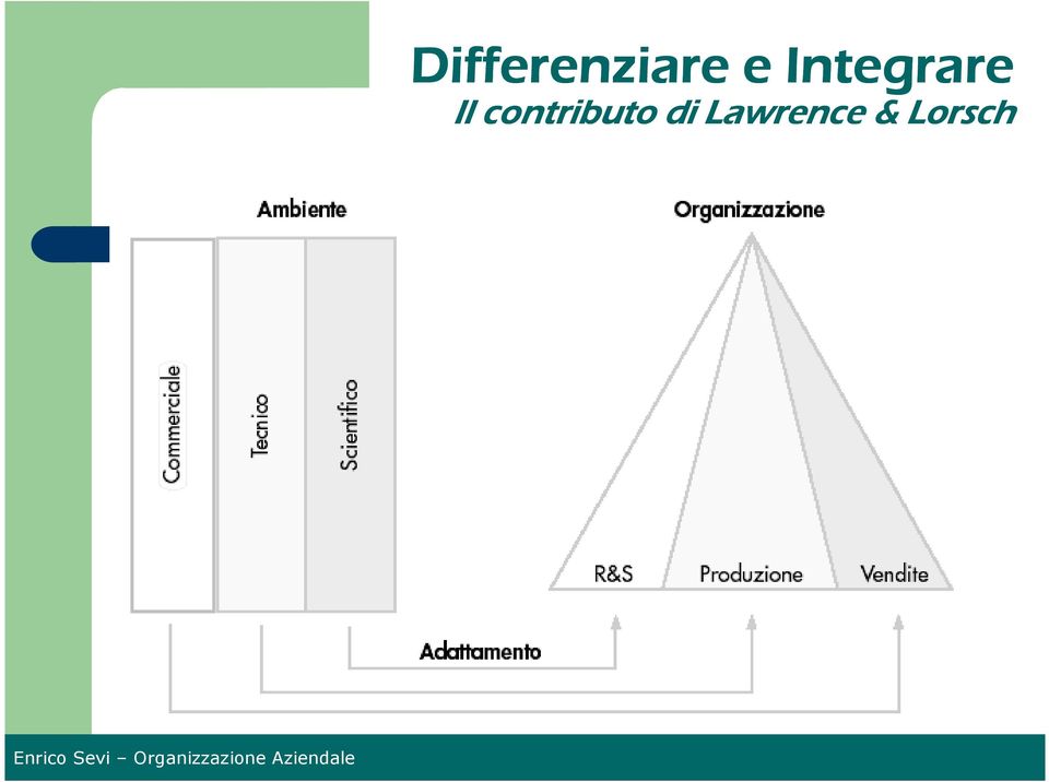 contributo di