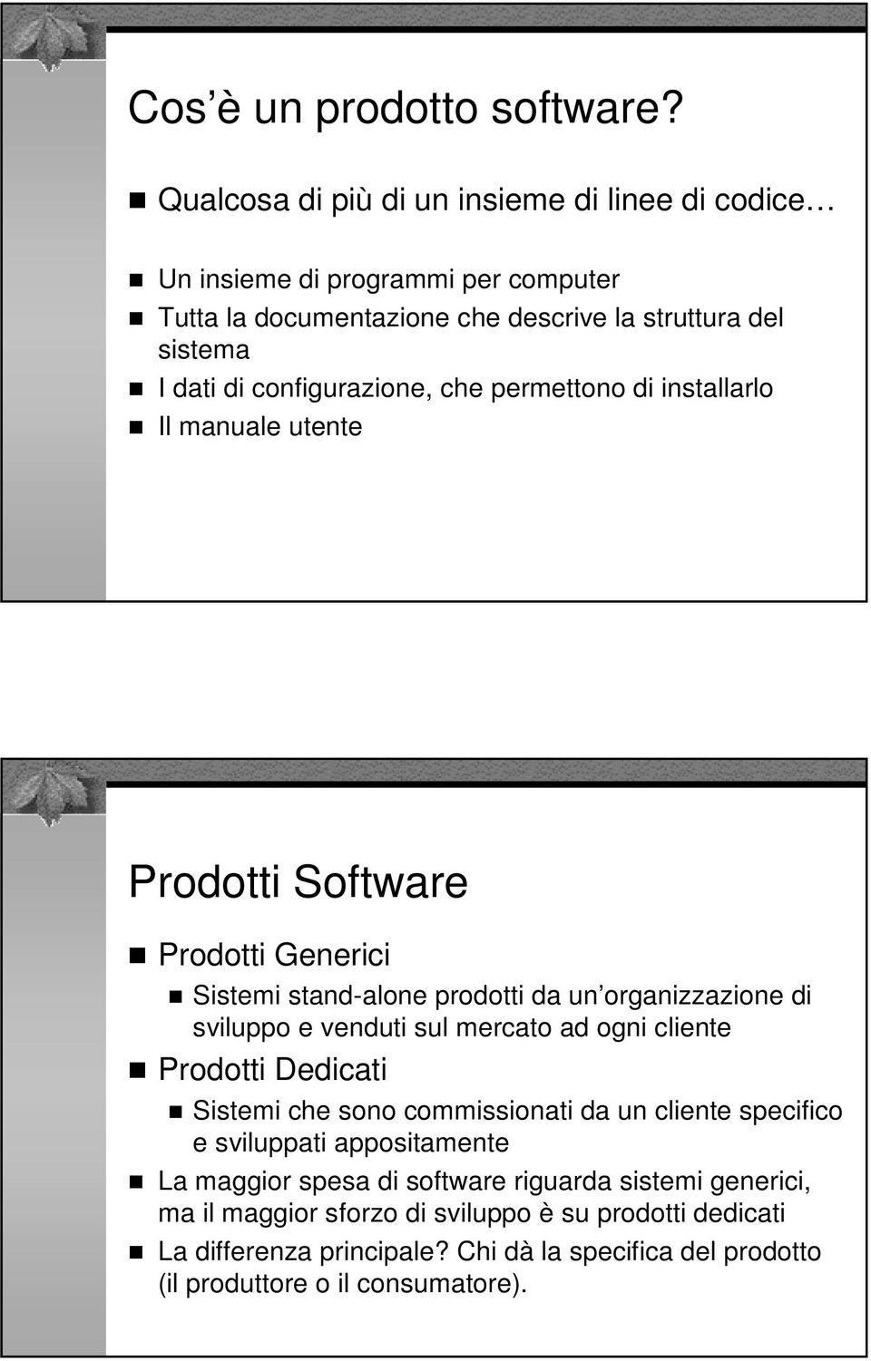 configurazione, che permettono di installarlo Il manuale utente Prodotti Software Prodotti Generici Sistemi stand-alone prodotti da un organizzazione di sviluppo e venduti