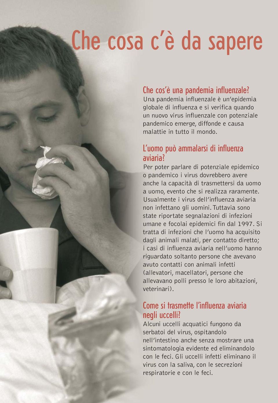 L uomo può ammalarsi di influenza aviaria?