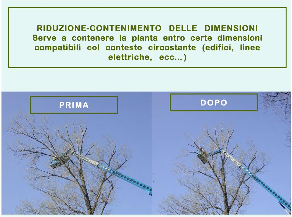 dimensioni compatibili col contesto