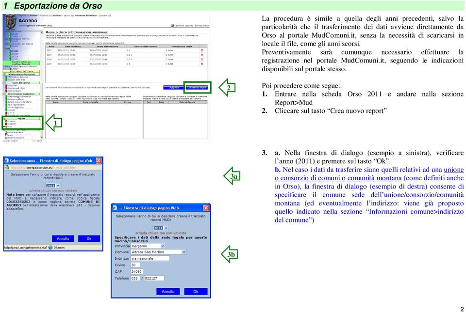 it, seguendo le indicazioni disponibili sul portale stesso. Poi procedere come segue: 1. Entrare nella scheda Orso 2011 e andare nella sezione Report>Mud 2. Cliccare sul tasto Crea nuovo report 3a 3.