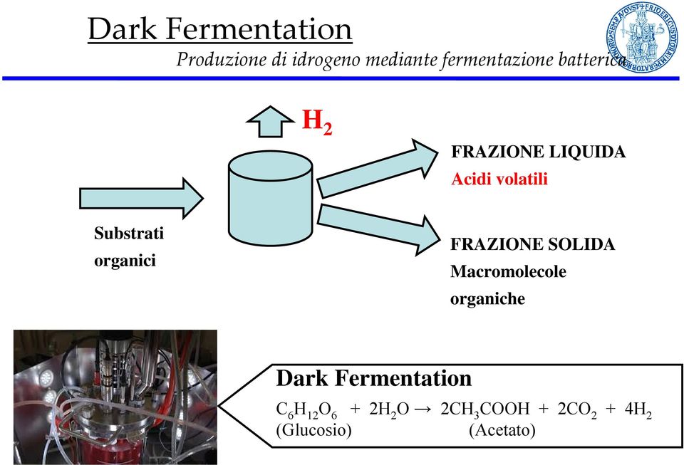 organici FRAZIONE SOLIDA Macromolecole organiche Dark