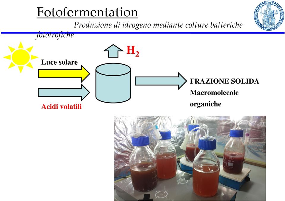 fototrofiche Luce solare H 2 Acidi
