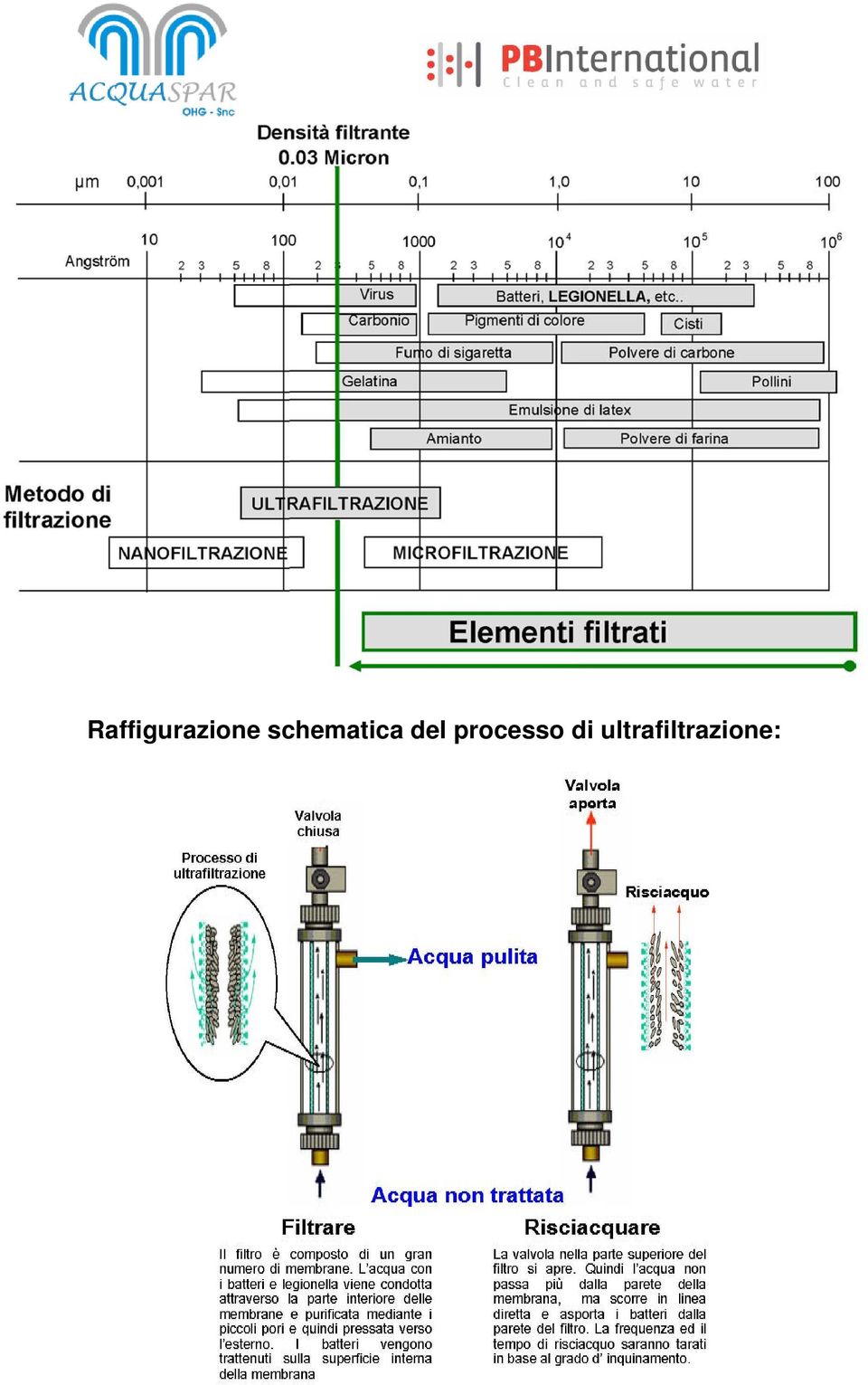 processo di