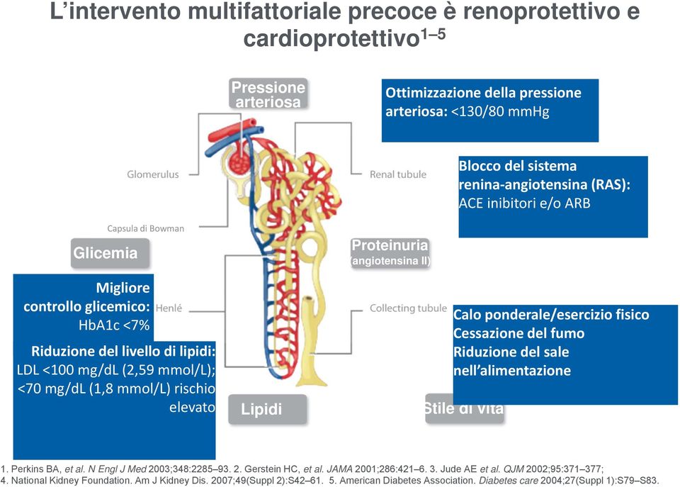 Proteinuria (angiotensina II) Calo ponderale/esercizio fisico Cessazione del fumo Riduzione del sale nell alimentazione Stile di vita 1. Perkins BA, et al. N Engl J Med 2003;348:2285 93. 2. Gerstein HC, et al.