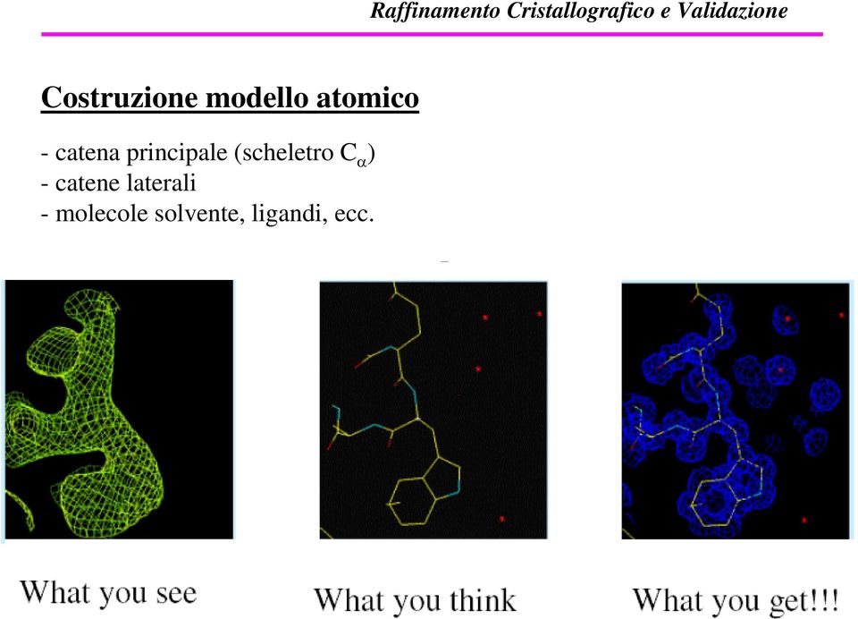 C α ) - catene laterali -