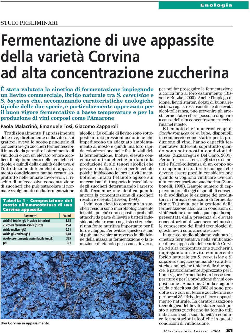 bayanus che, accomunando caratteristiche enologiche tipiche delle due specie, è particolarmente apprezzato per il buon vigore fermentativo a basse temperature e per la produzione di vini corposi come