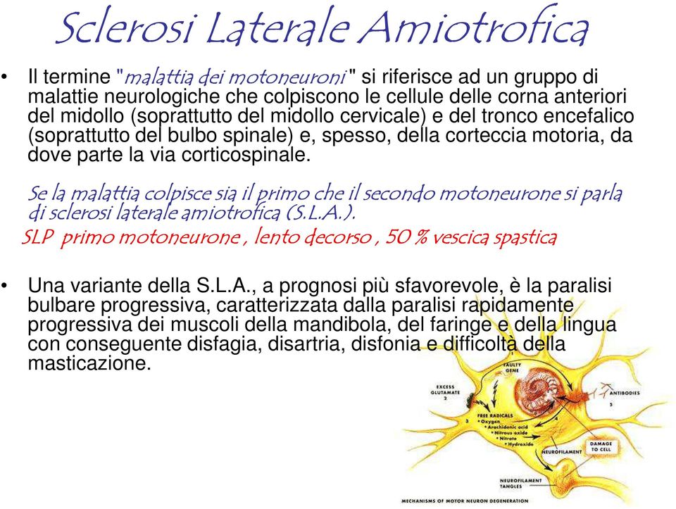 Se la malattia colpisce sia il primo che il secondo motoneurone si parla di sclerosi laterale amiotrofica (S.L.A.