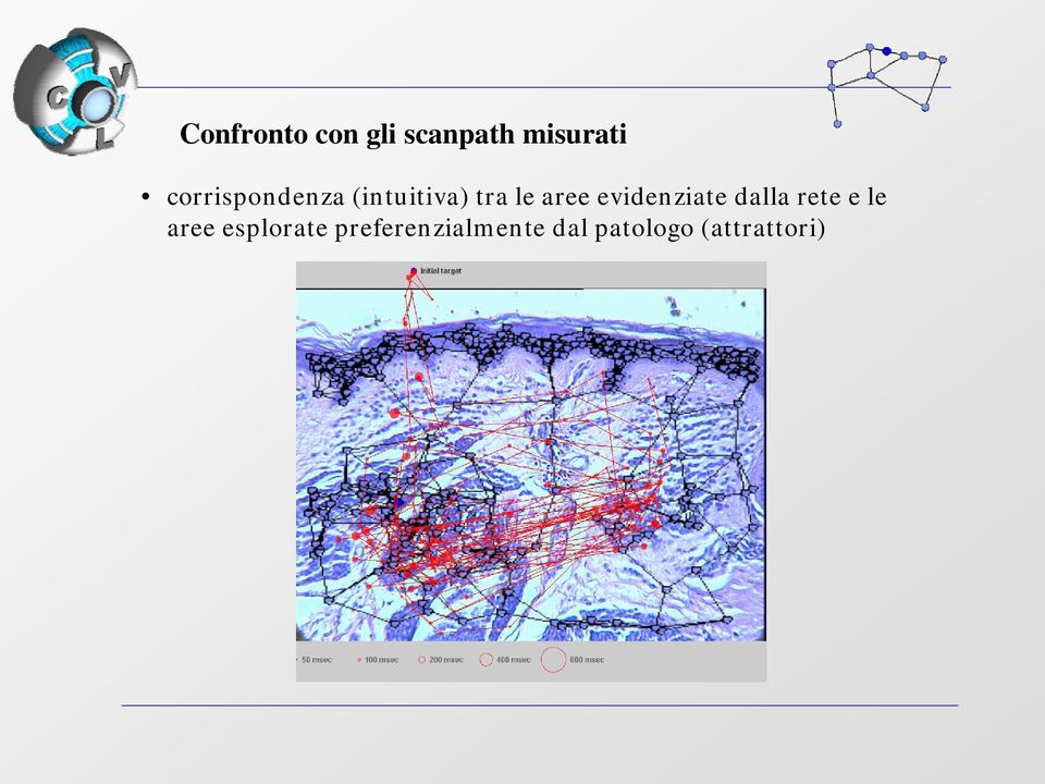 evidenziate dalla rete e le aree