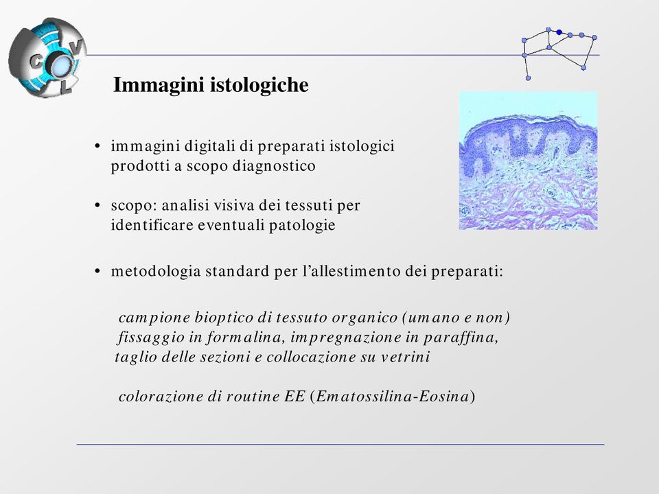 dei preparati: campione bioptico di tessuto organico (umano e non) fissaggio in formalina,