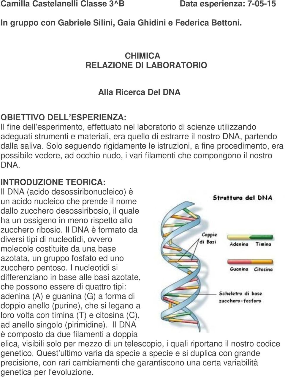 di estrarre il nostro DNA, partendo dalla saliva. Solo seguendo rigidamente le istruzioni, a fine procedimento, era possibile vedere, ad occhio nudo, i vari filamenti che compongono il nostro DNA.