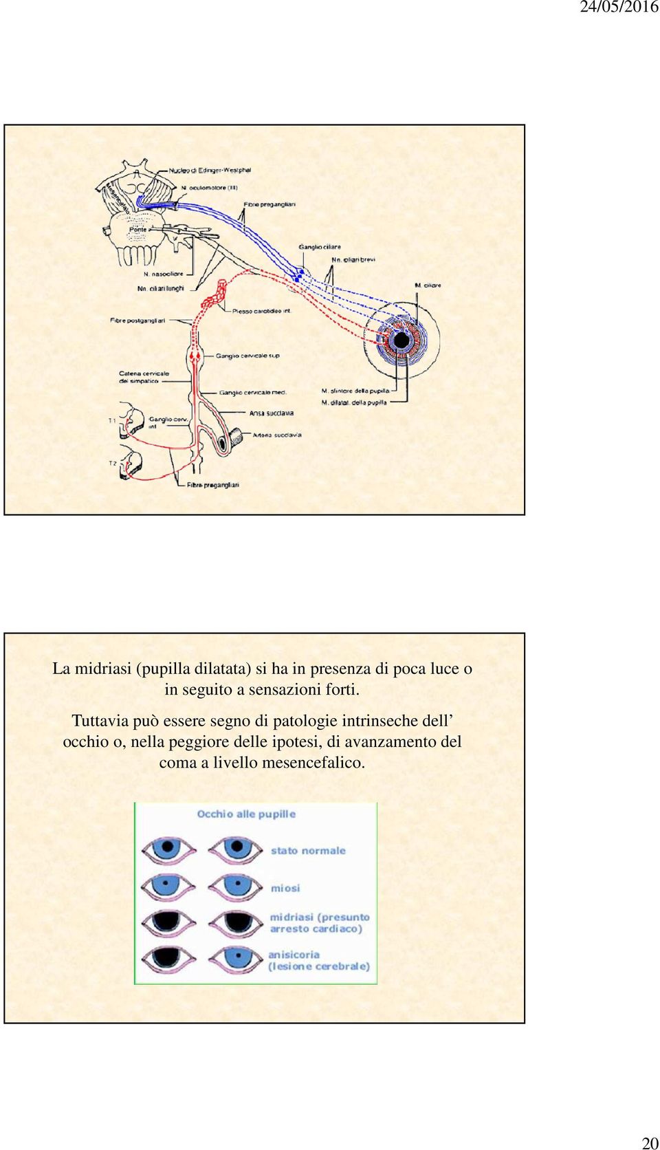 Tuttavia può essere segno di patologie intrinseche dell