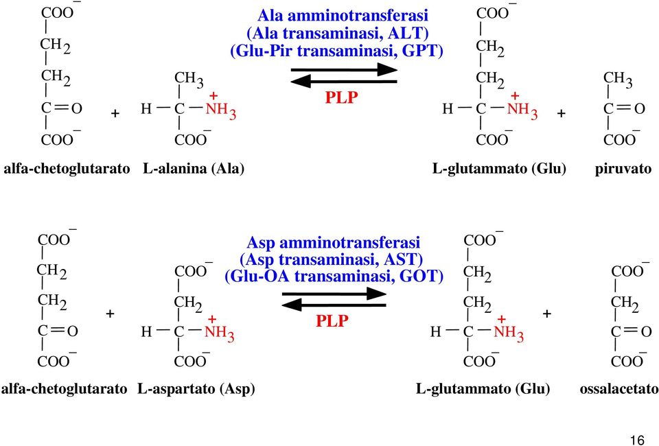 piruvato CH2 C O alfa-chetoglutarato Asp amminotransferasi (Asp transaminasi, AST)