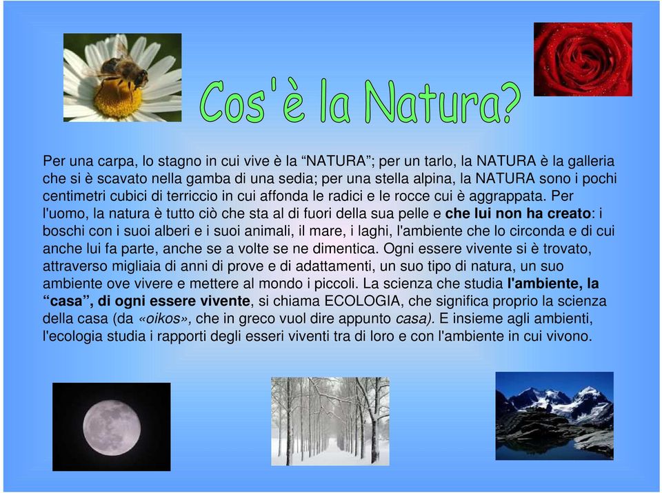 Per l'uomo, la natura è tutto ciò che sta al di fuori della sua pelle e che lui non ha creato: i boschi con i suoi alberi e i suoi animali, il mare, i laghi, l'ambiente che lo circonda e di cui anche