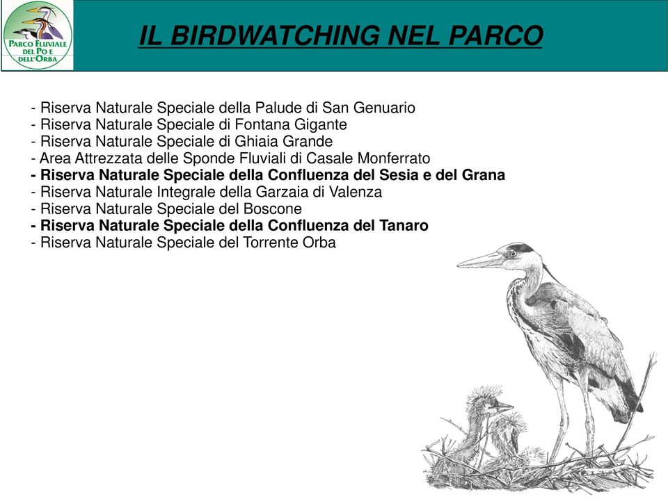 Speciale della Confluenza del Sesia e del Grana - Riserva Naturale Integrale della Garzaia di Valenza - Riserva