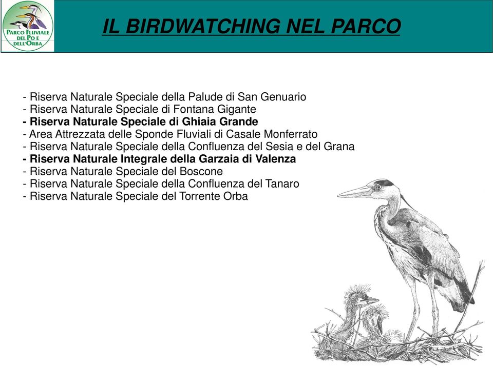 Speciale della Confluenza del Sesia e del Grana - Riserva Naturale Integrale della Garzaia di Valenza - Riserva