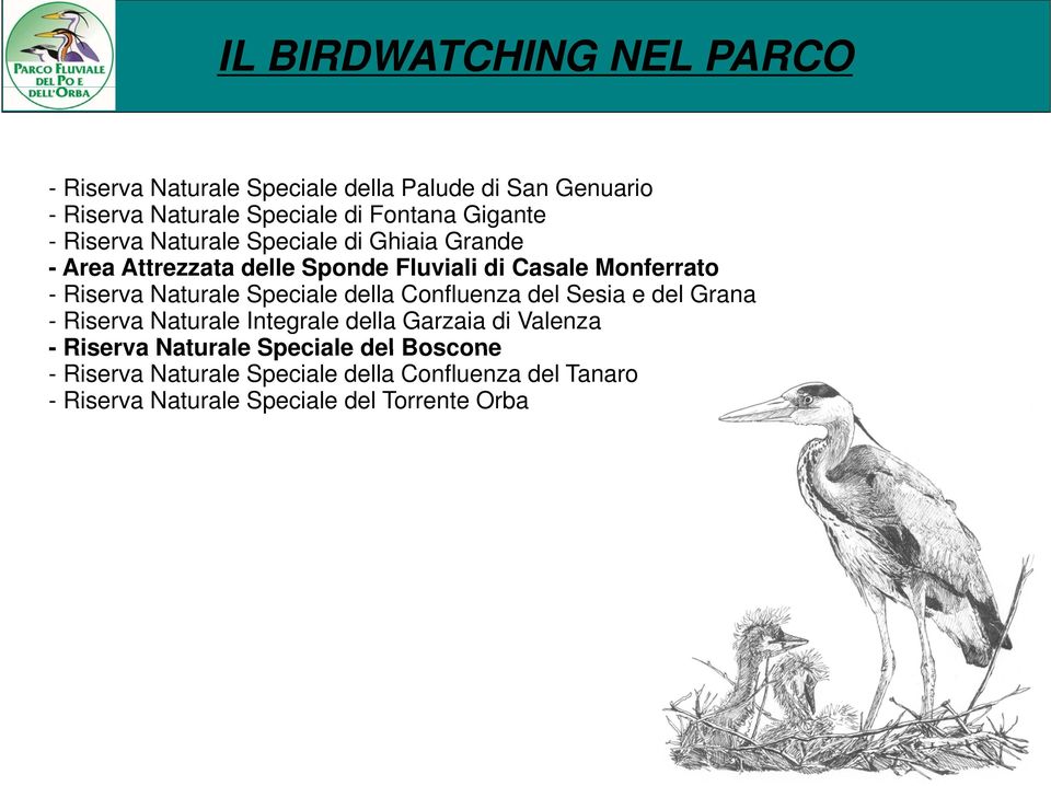 Speciale della Confluenza del Sesia e del Grana - Riserva Naturale Integrale della Garzaia di Valenza - Riserva