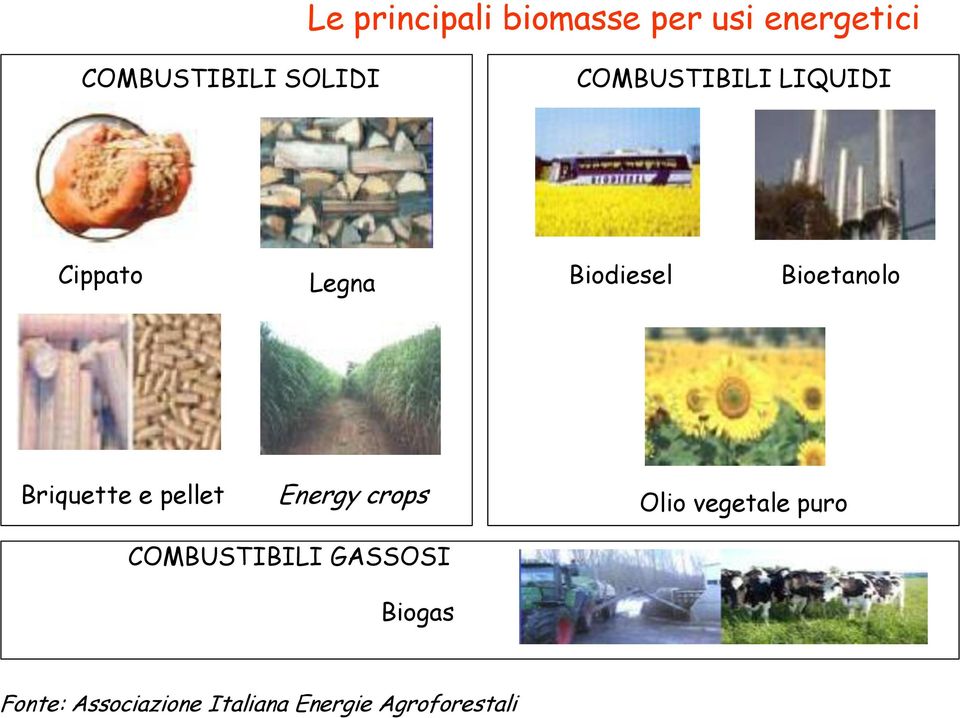 Briquette e pellet Energy crops Olio vegetale puro