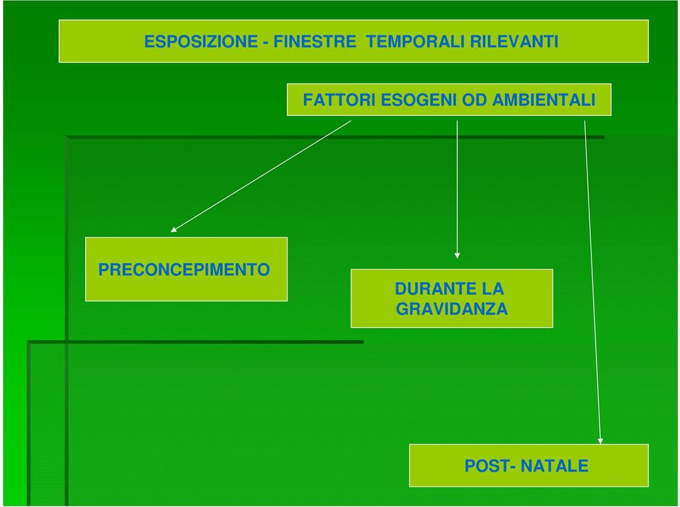 ESOGENI OD AMBIENTALI