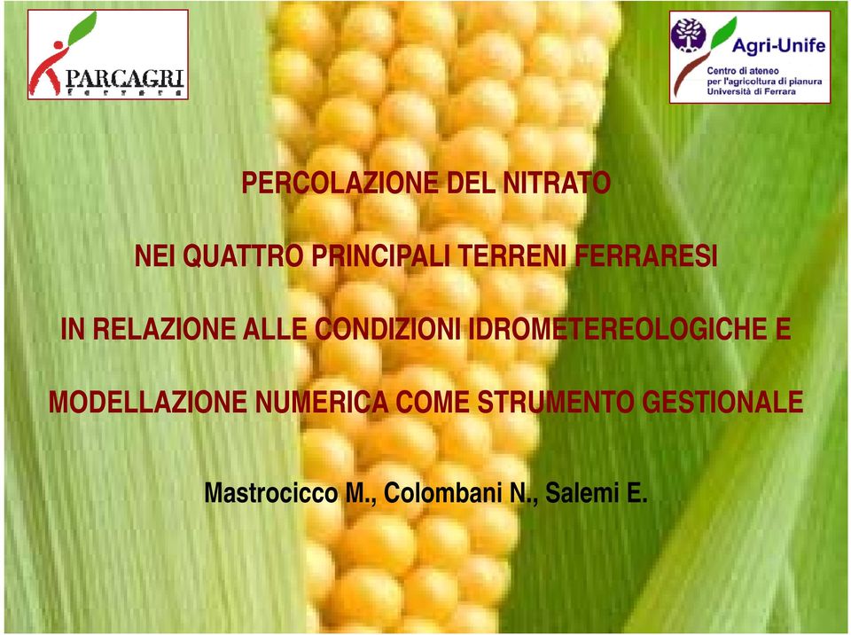 IDROMETEREOLOGICHE O OGC E MODELLAZIONE NUMERICA