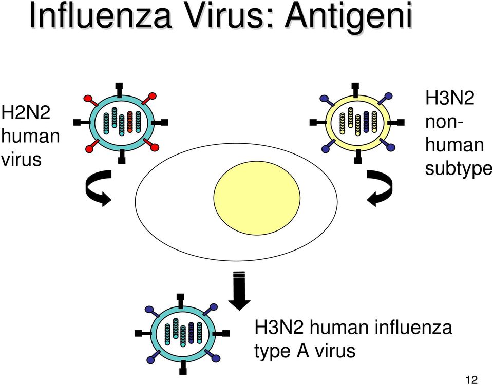 nonhuman subtype H3N2