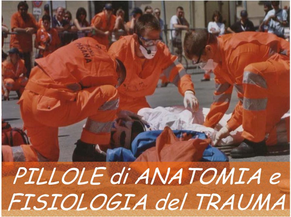 FISIOLOGIA