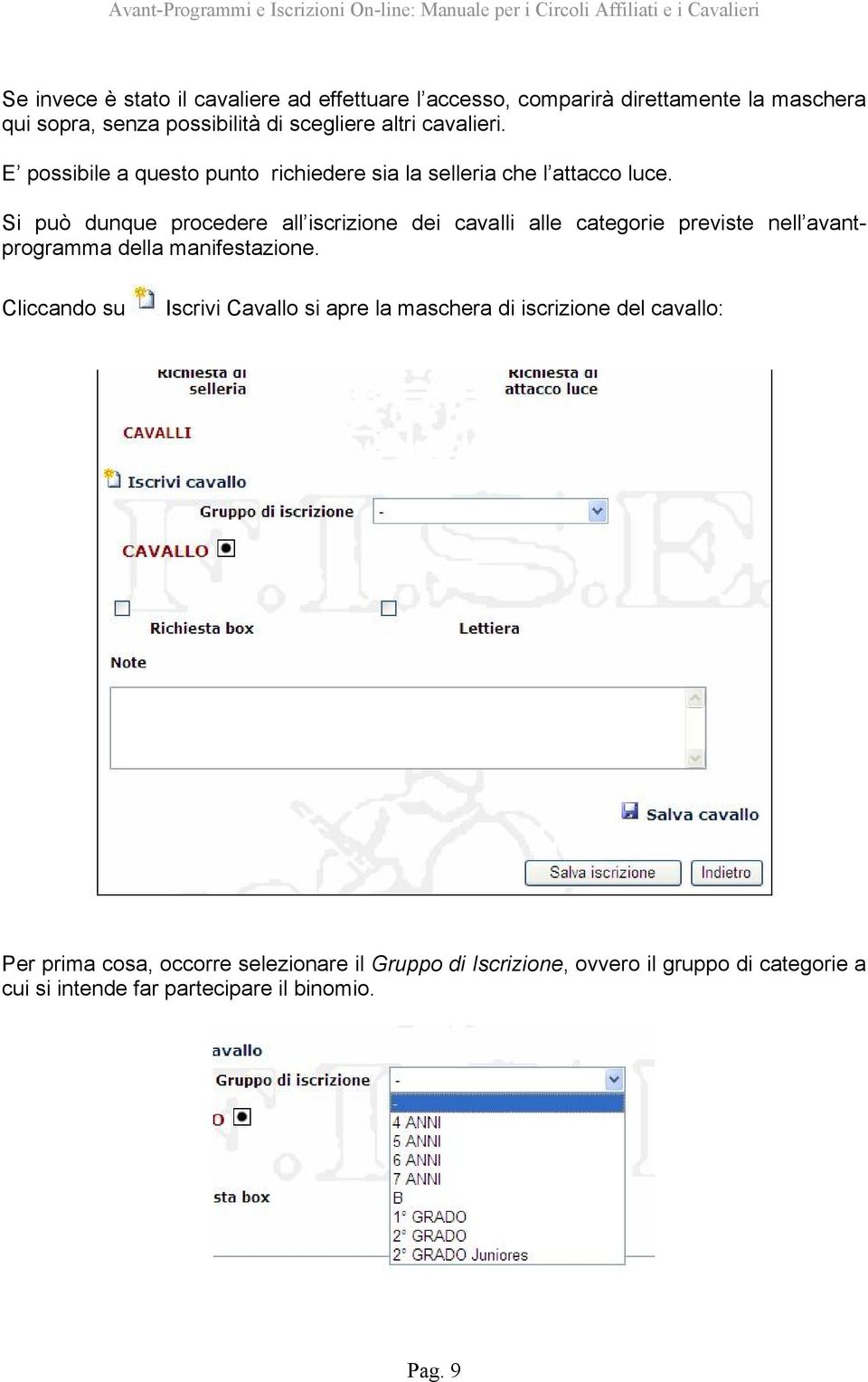 Si può dunque procedere all iscrizione dei cavalli alle categorie previste nell avantprogramma della manifestazione.