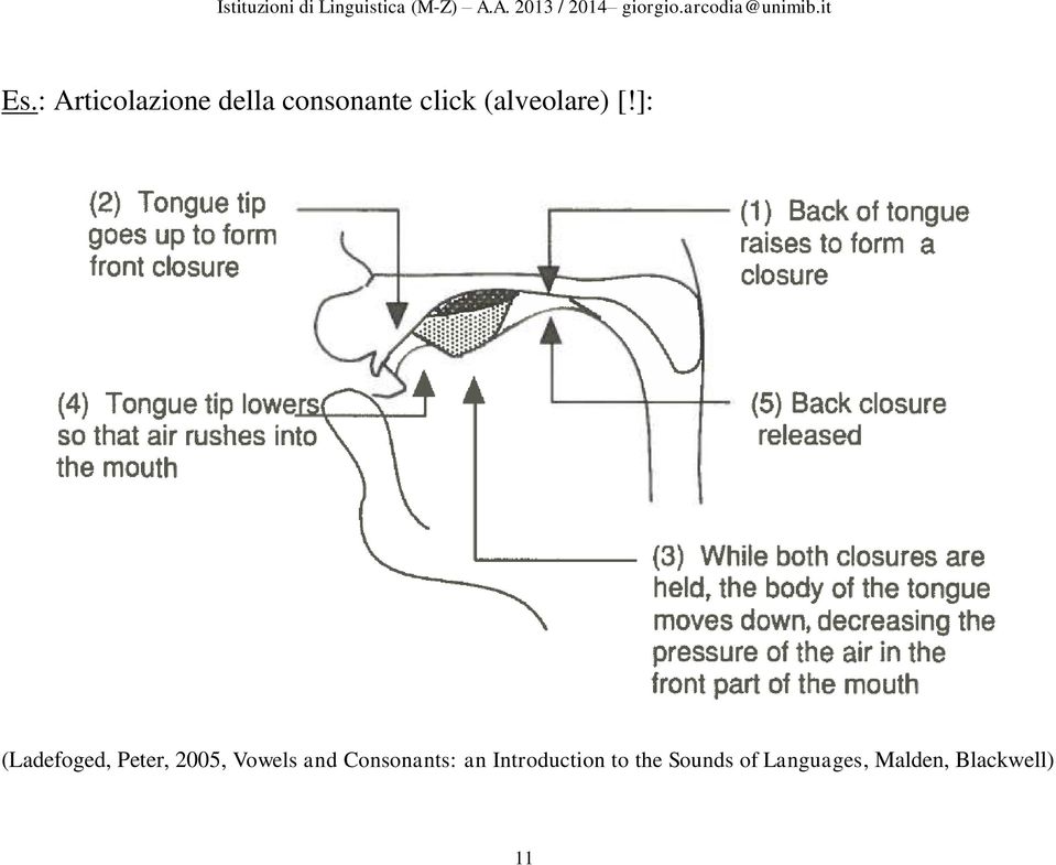 ]: (Ladefoged, Peter, 2005, Vowels and