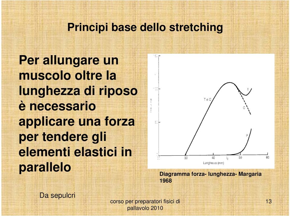 forza per tendere gli elementi elastici in parallelo