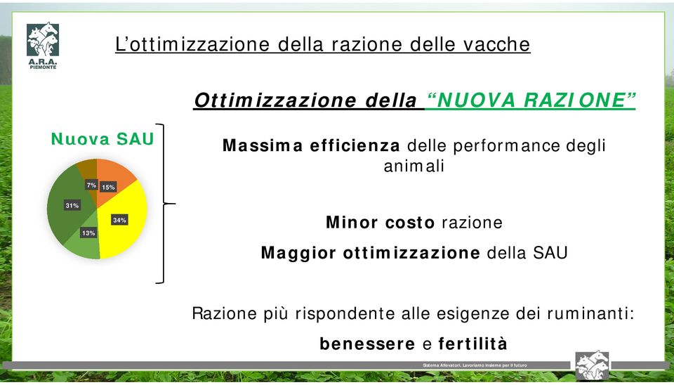 animali 31% 13% 34% Minor costo razione Maggior ottimizzazione della