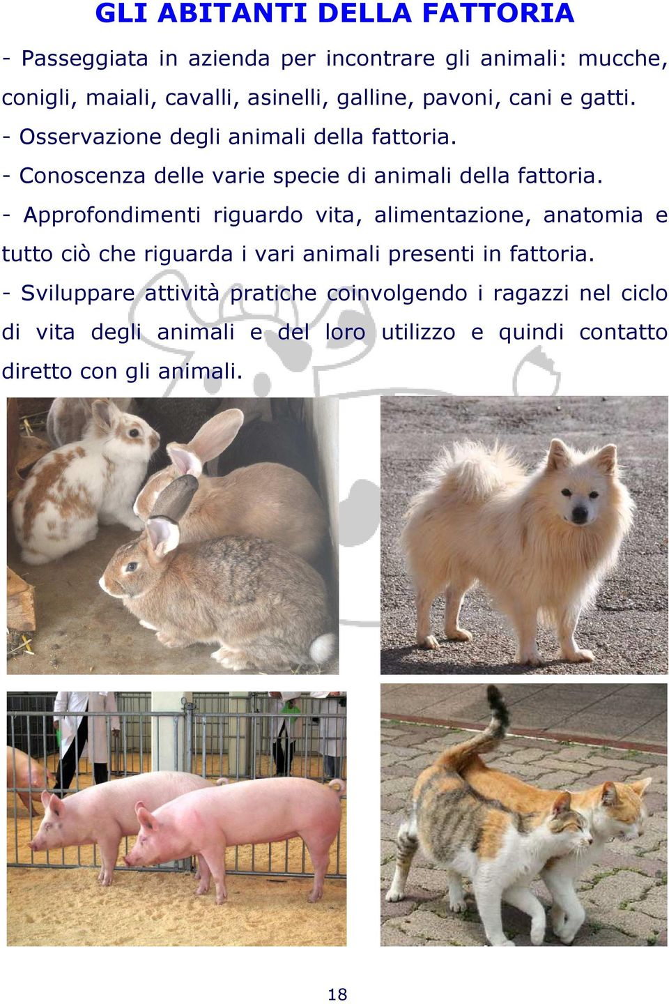 - Conoscenza delle varie specie di animali della fattoria.